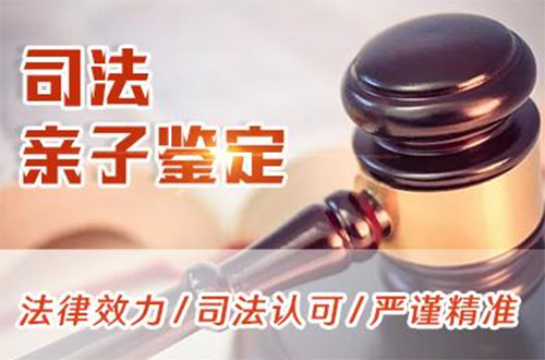 浙江省实名亲子鉴定的流程,浙江省实名亲子鉴定费用大概多少